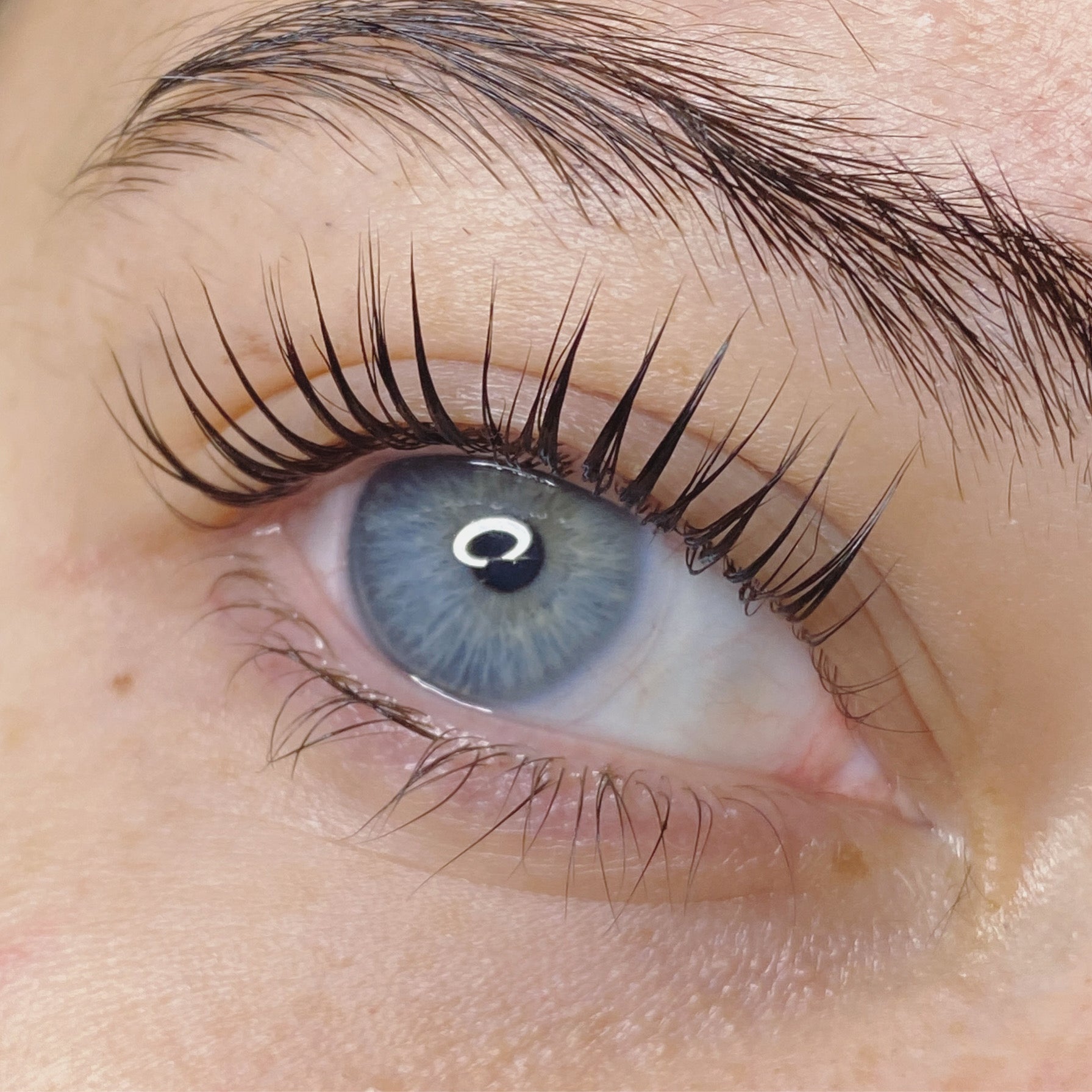 Elleebana Lash Lift 1 Day Course - Shannon Boyle
