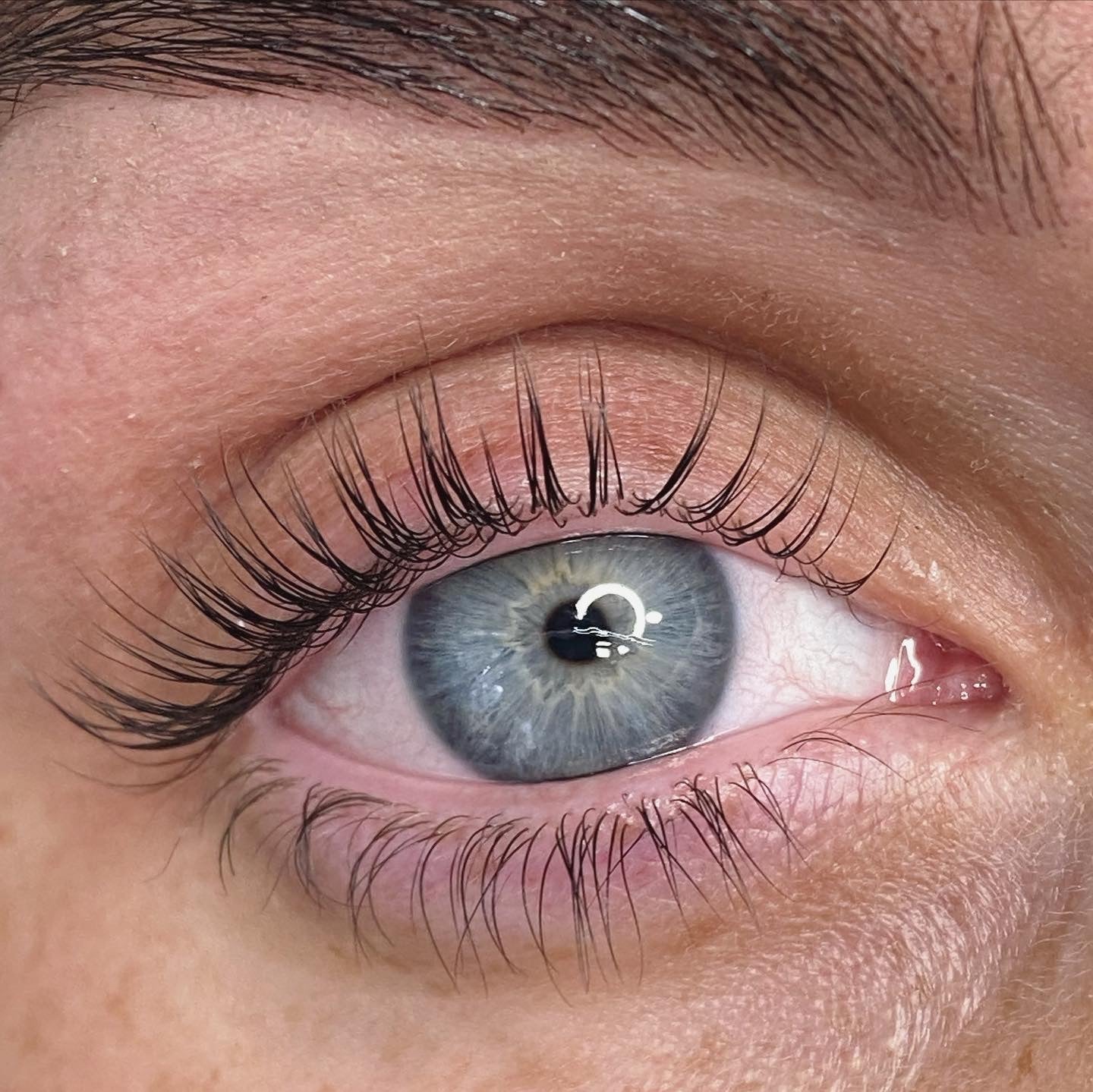 Elleebana Lash Lift 1 Day Course - Shannon Boyle