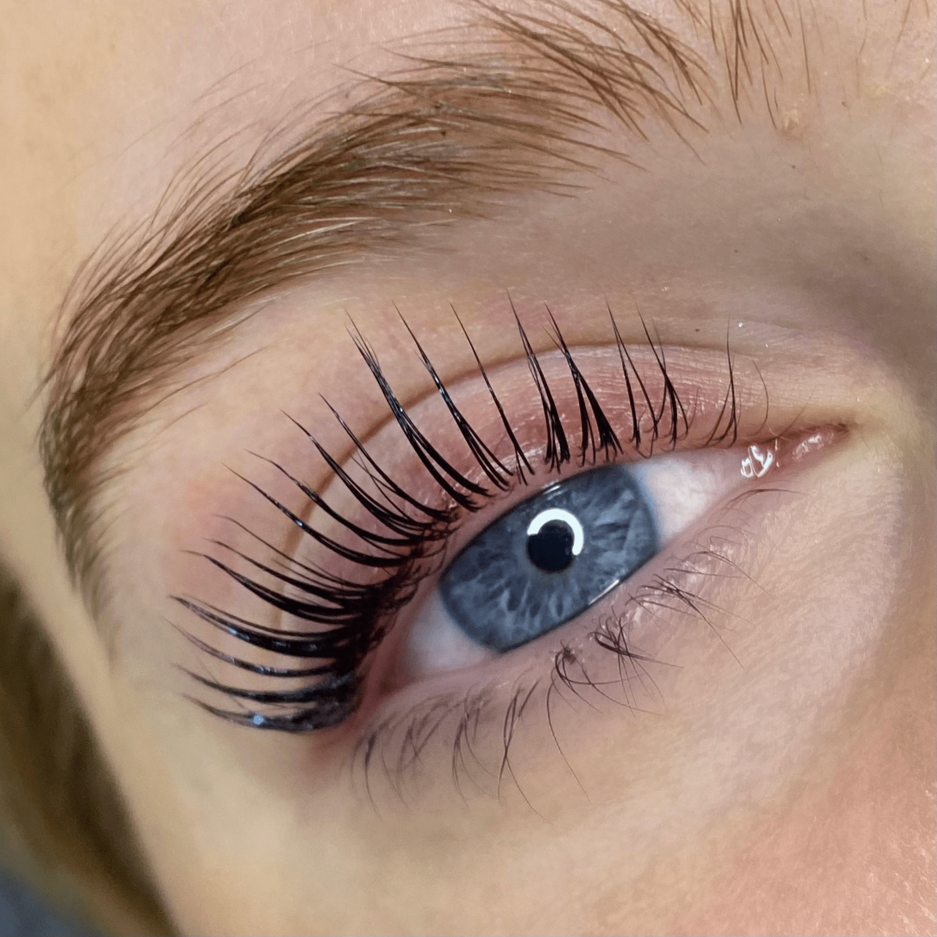 Elleeplex Profusion Lash Lamination 1 Day Course - Shannon Boyle