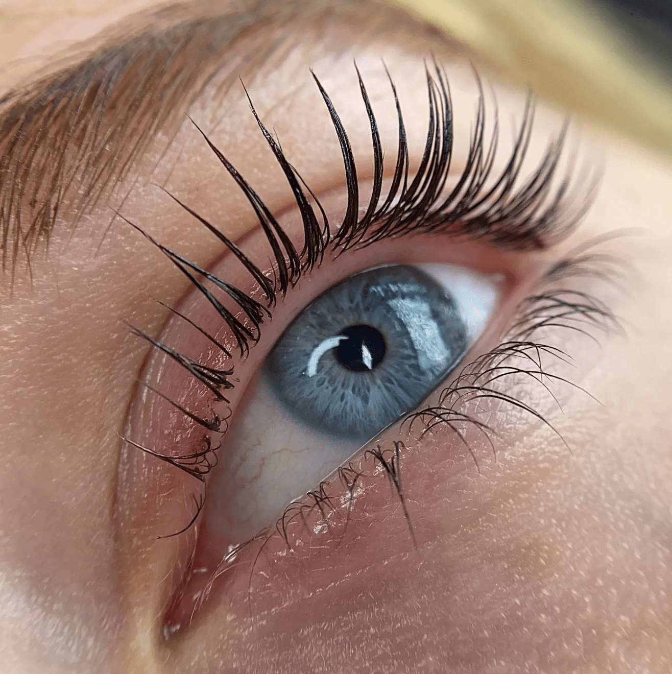 Online - Elleebana One Shot Lash Lift Course - Shannon Boyle