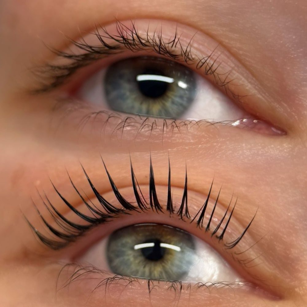 Professional Korean lash lift training