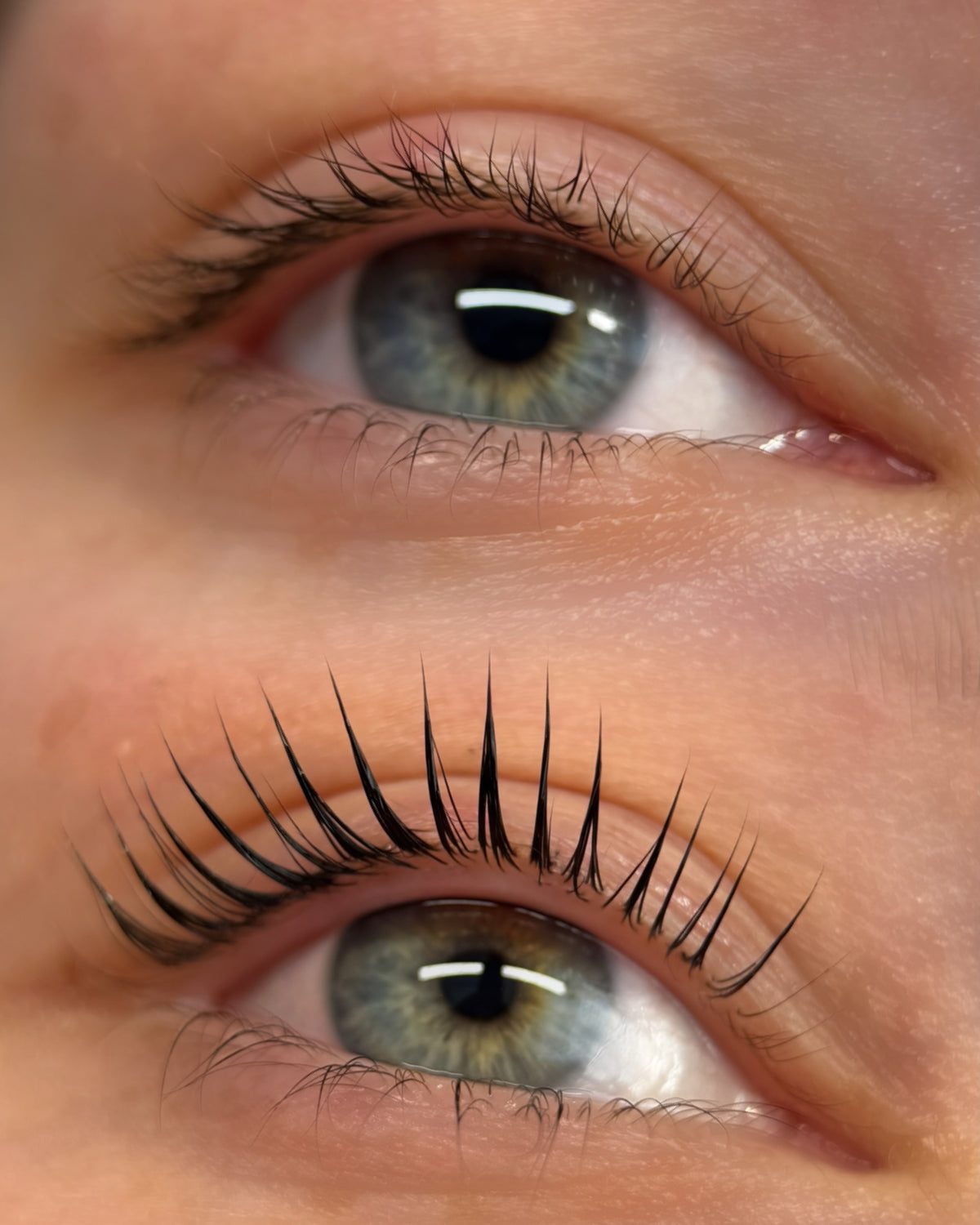 Korean lash lift training and professional lash lifting education