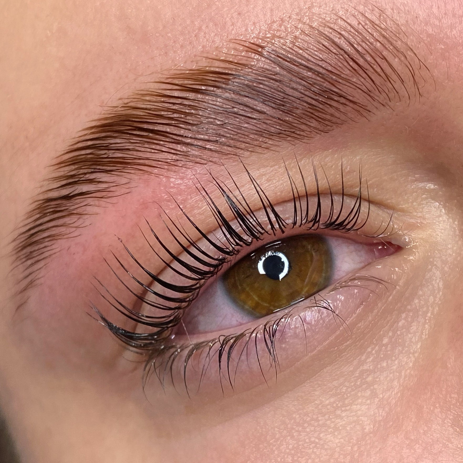 Elleeplex Profusion Brow Lamination 1 Day Course - Shannon Boyle