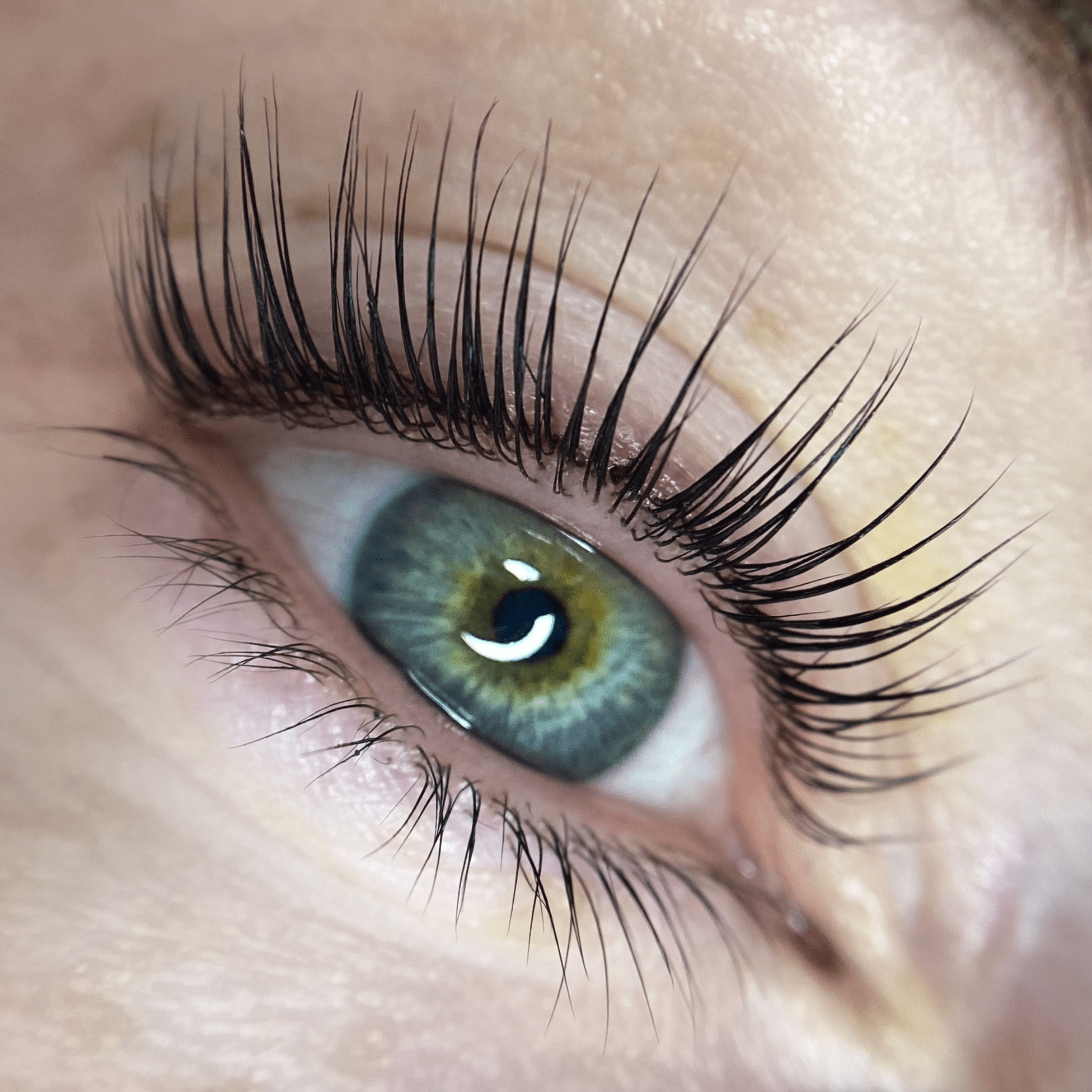 Elleeplex Profusion Lash Lamination 1 Day Course - Shannon Boyle