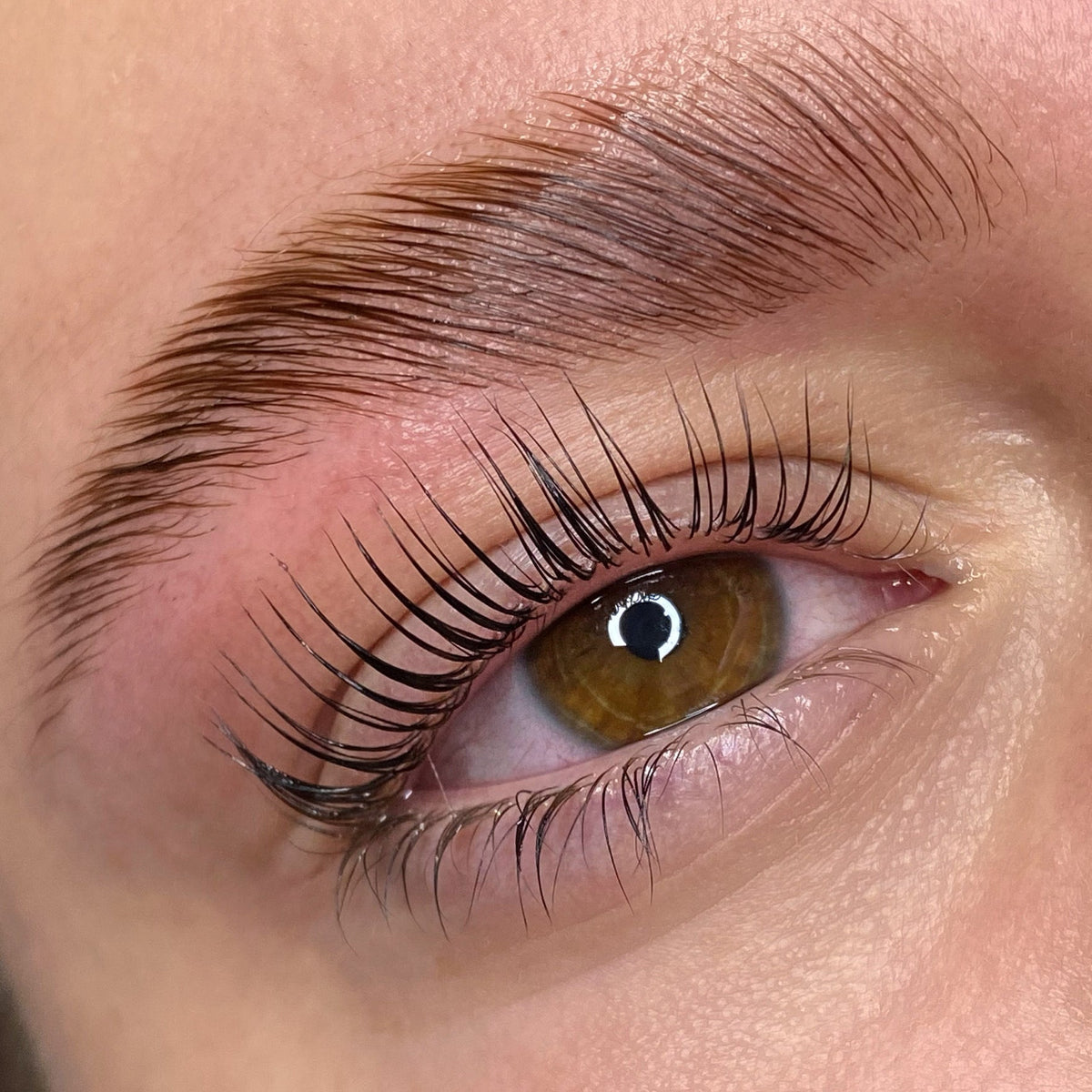 Elleeplex Profusion lash and brow lamination training course kit with sachets, shields, and ReGEN Next Gen treatment.