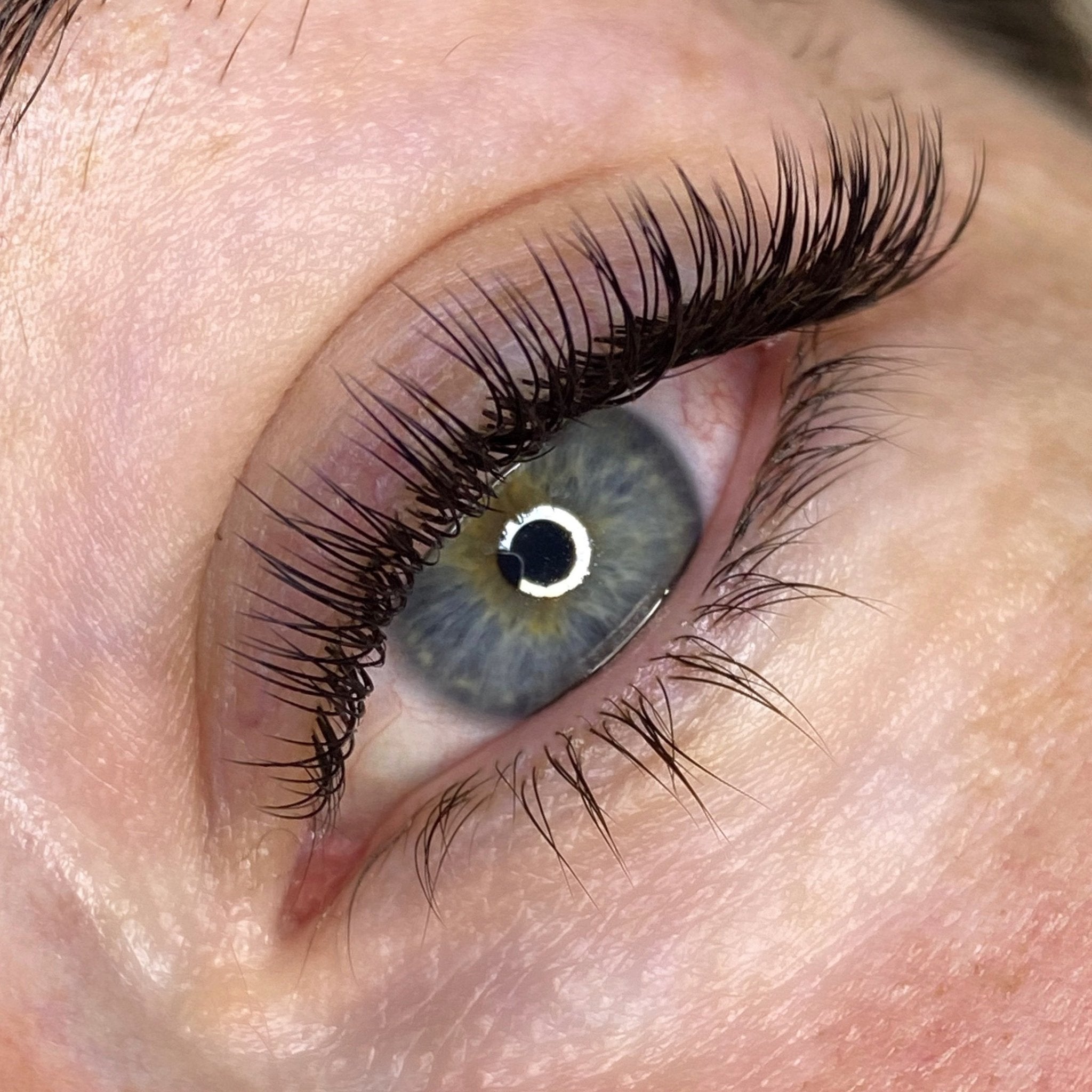 In Person Classic Foundation Lash Training - Shannon Boyle