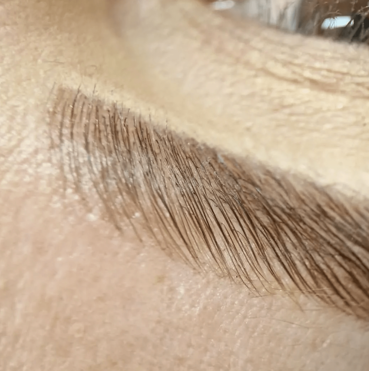 Online Conversion - Elleeplex Profusion Brow Lamination - Shannon Boyle