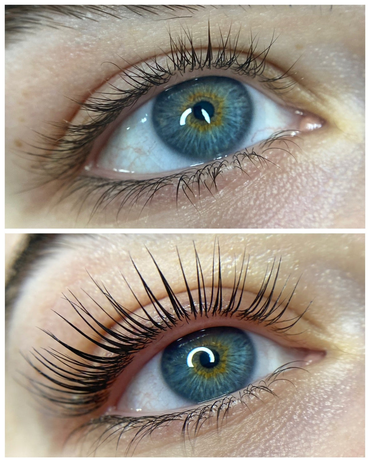 Elleebana One Shot before and after lash lift result